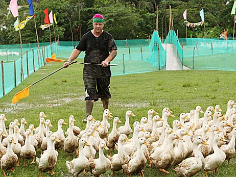 A contestant herds a large group of ducks on the season premiere of 'The Amazing Race.'