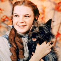 Judy Garland as Dorothy in the 1939 film 'The Wizard Of Oz.'.