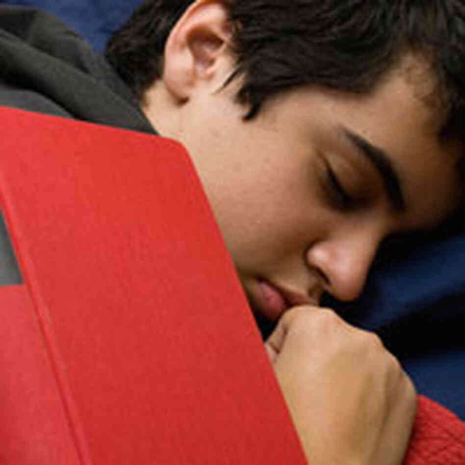 guy sleeping with a book on his face. guy sleeping with a book on his face.