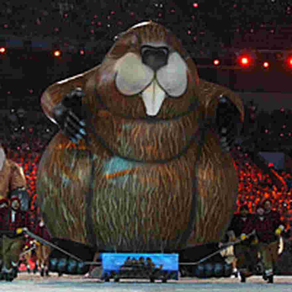 A big inflatable beaver at the closing ceremonies of the 2010 Winter Olympics. A big inflatable beaver at the closing ceremonies of the 2010 Winter Olympics.