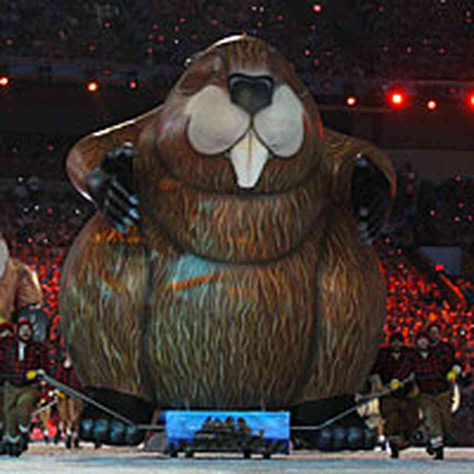 A big inflatable beaver at the closing ceremonies of the 2010 Winter Olympics. A big inflatable beaver at the closing ceremonies of the 2010 Winter Olympics.