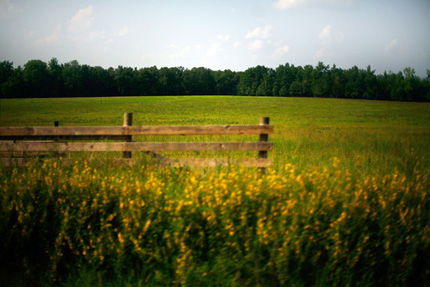 open field in the ozarks.
