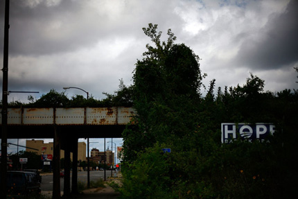 Hope in the overgrowth