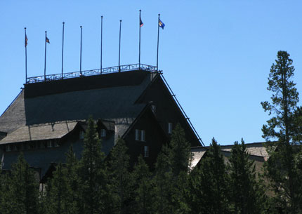 OFI.jpg