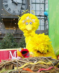 big_bird.jpg