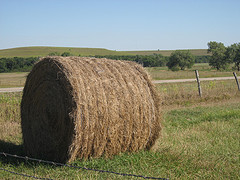 1314727472_3ff036c695_m.jpg