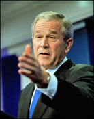 bush.jpg bush.jpg