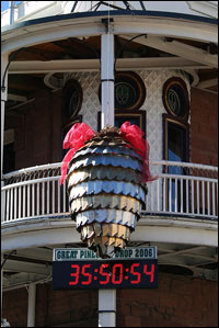 New Year's Eve pine cone