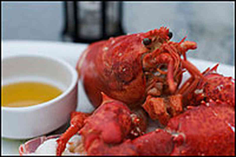 Plated lobster.