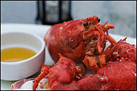 Plated lobster.