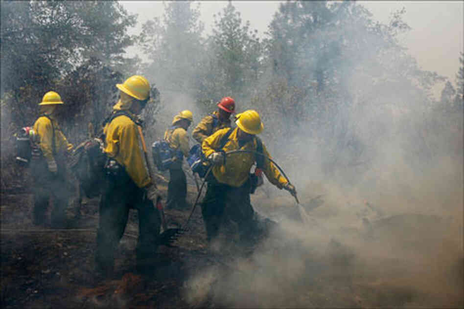 califire.jpg califire.jpg