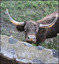 farm_200.jpg