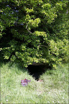 The entrance to Ireland's "Gates of Hell." The entrance to Ireland's "Gates of Hell."