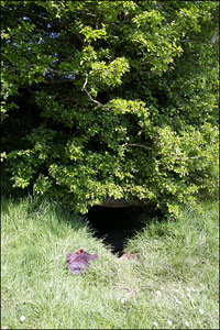 irish_cave.jpg