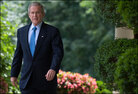 president_rose.jpg president_rose.jpg