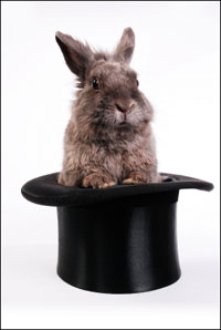 rabbit_hat.jpg