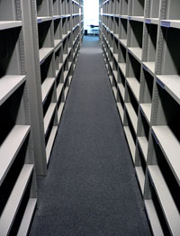 shelves.jpg