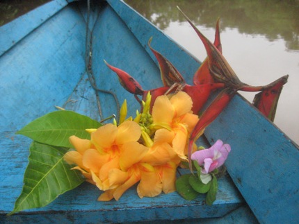 Amazon flowers