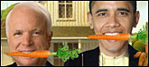 Roger Doiron, founder of the Maine-based Kitchen Gardeners International, is using this cheeky campaign to petition our next president for a quarter-acre garden on the White House lawn.
