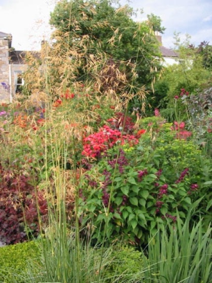 a jumble of grasses and perennials in the Dillon Garden