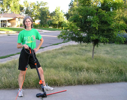 Homeowner required to cut grass. Courtesy Luanne Stehno.