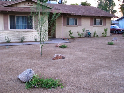 a minimalist, water-wise garden