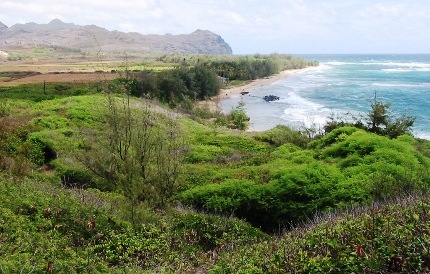 Kaua'i coastline