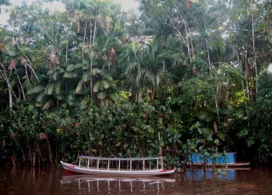 typical Amazon boat typical Amazon boat