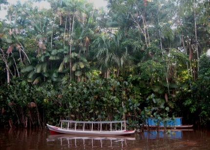 typical Amazon boat