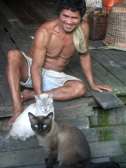 Alvino and the cats