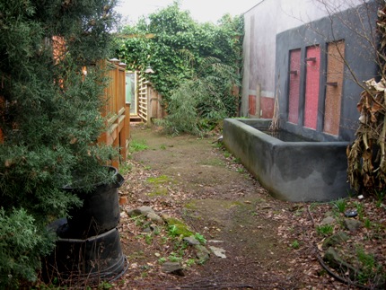 garden disaster