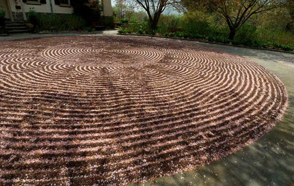 petals on raked gravel