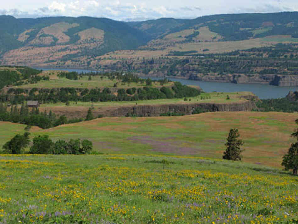 view towards WA. along Columbia Gorge view towards WA. along Columbia Gorge