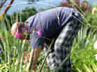 famous man weeds in pajamas