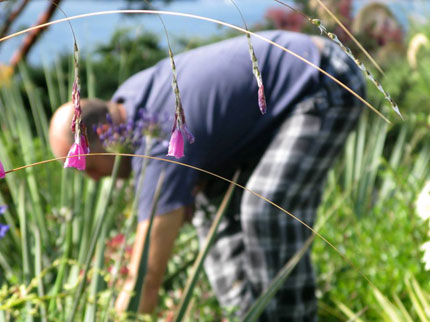 famous man weeds in pajamas