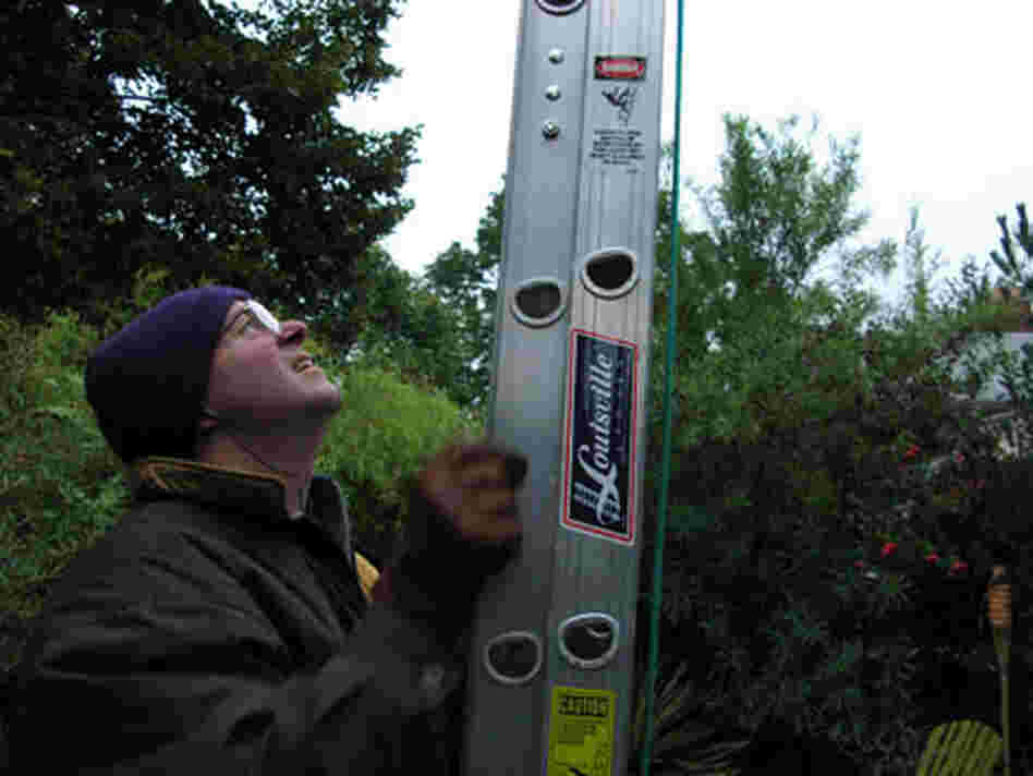 warmly-dressed man with ladder warmly-dressed man with ladder