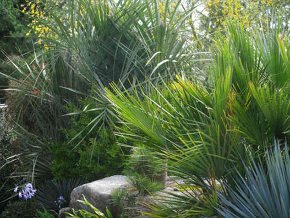 blades of grass and palms blades of grass and palms