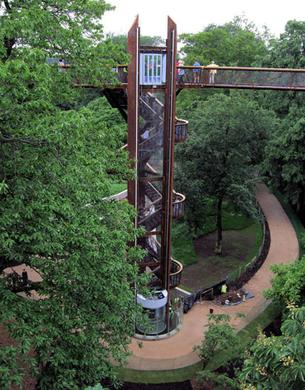 stairs and lift up into treetop walkway