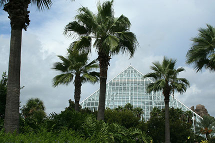 the pyramids at Moody Gardens