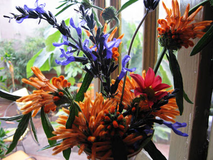 arrangement of orange and blue flowers