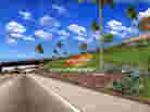 credit card logo growing along highway