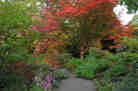 a brilliant fall tableau a brilliant fall tableau