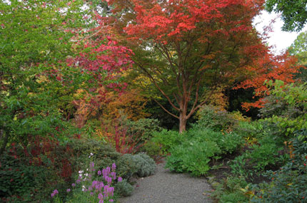 a brilliant fall tableau