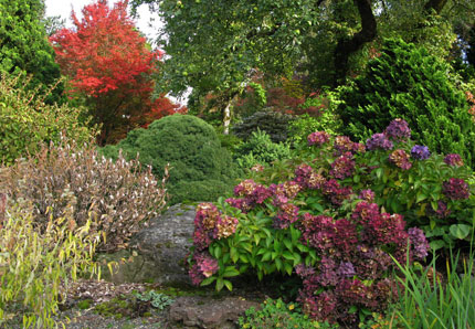 a colorful tapestry of shrubs