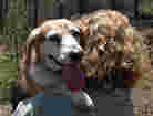 my old friend Della my old friend Della