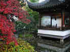 a tranquil moment in the Chinese Garden a tranquil moment in the Chinese Garden