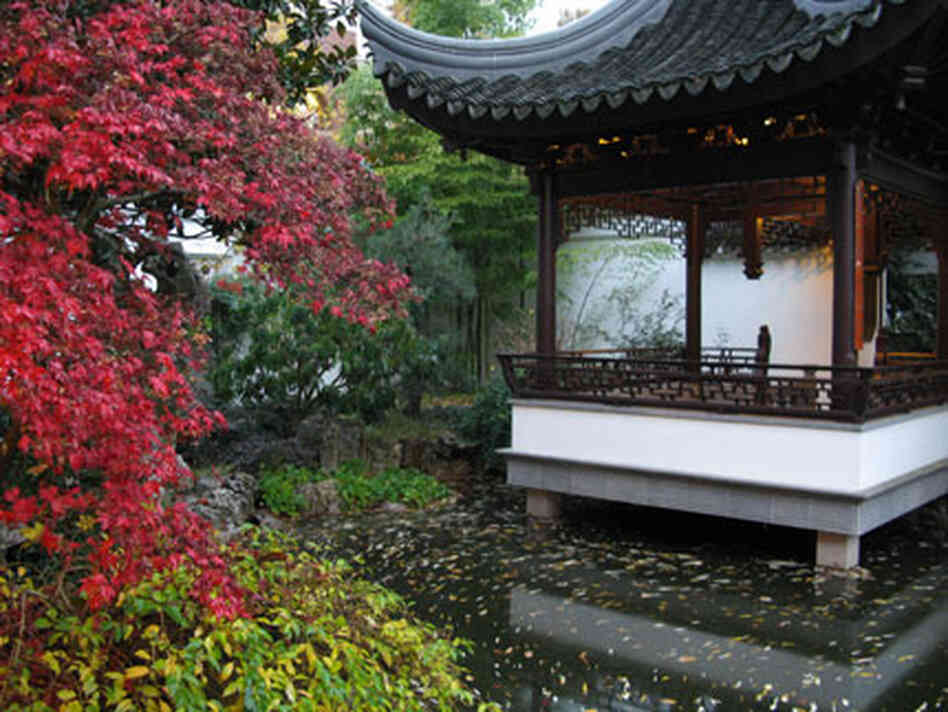 a tranquil moment in the Chinese Garden a tranquil moment in the Chinese Garden