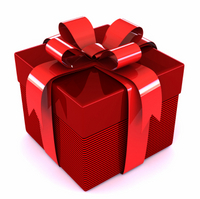 Holiday gift