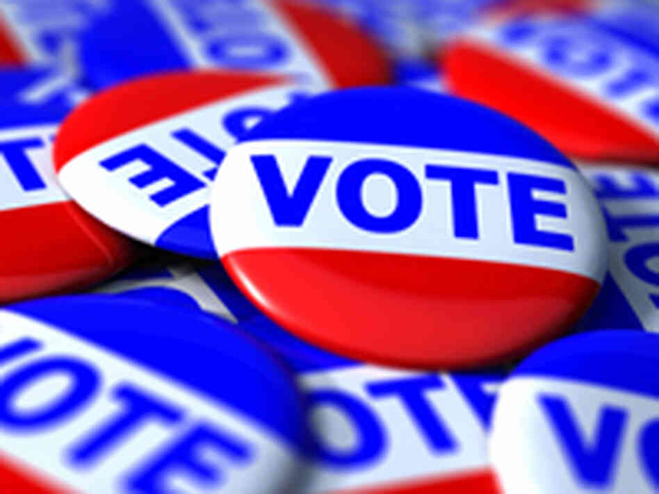 Voter pins Voter pins
