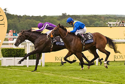 Horses